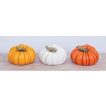 AUTUMN PATCH PUMPKIN TABLETOP 3 ASST. LARGE