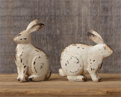 Small Bunnies