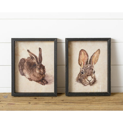Framed Prints - Rabbits
