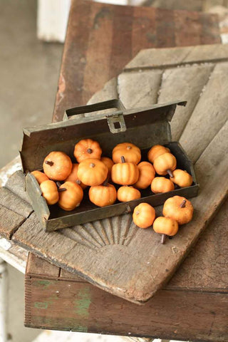 Boxed Mini Pumpkins