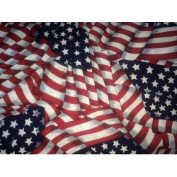 Waving American Flag-Dog Accessories