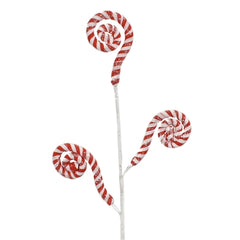 29” CANDY CANE CURLY SPRA