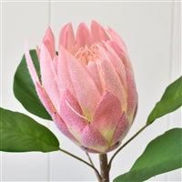 PROTEA SPRAY 22” - PINK