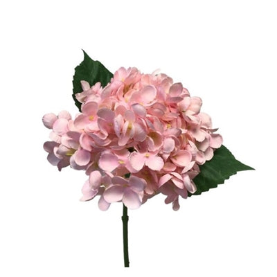 HYDRANGEA PICK PINK