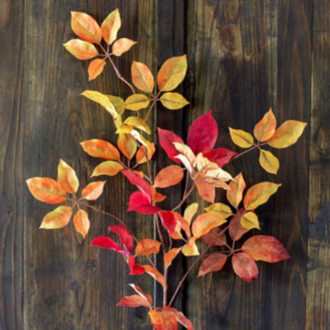 Autumn Virginia Creeper Leaf Spray