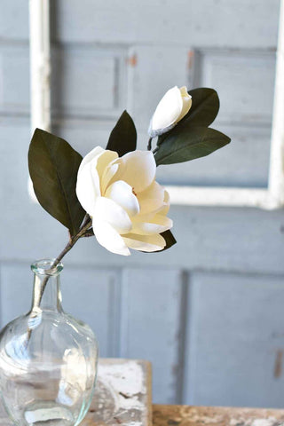 Sweetbay Magnolia Spray | 18" |