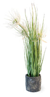 SUNNY FLOWER GRASS YELLOW
