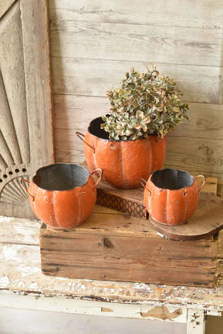 ceramic pumpkin flower pot Pumpkin Planters – Avenue 550