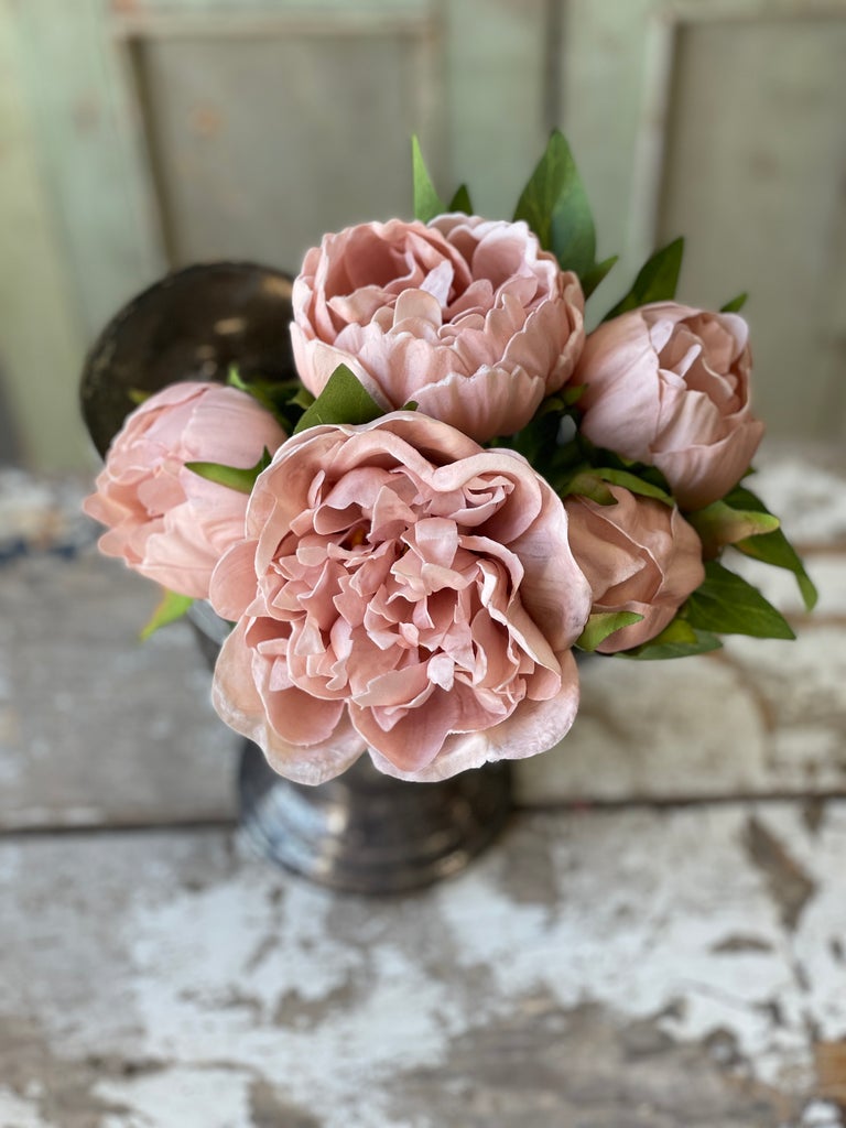 Floret Peony Bundle | 12" | Shell