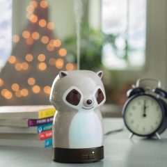 Raccoon Medium Ultra Sonic Diffuser