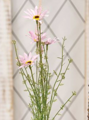 Wispy Daisy Spray