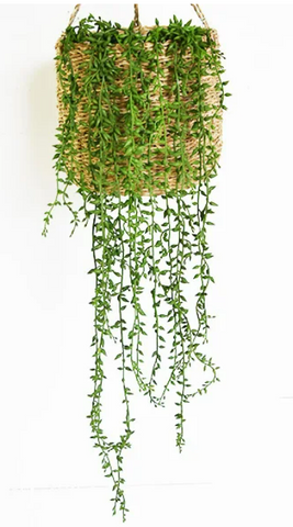 *INNER* HANGING BEAN LEAVES