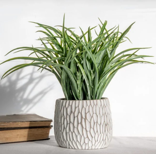 12" GRASS IN POT