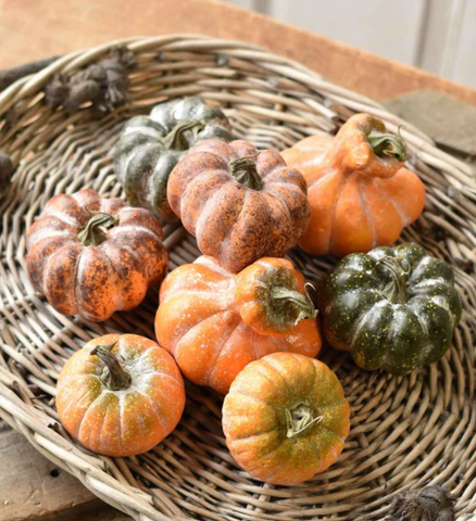 Bagged Colorguard Pumpkins