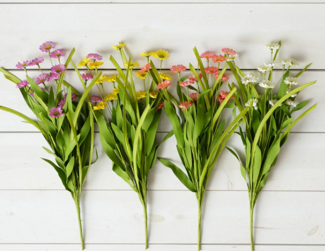 Coreopsis, Assorted Colors