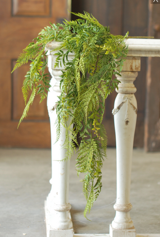 Deer Fern Hanging | 35"