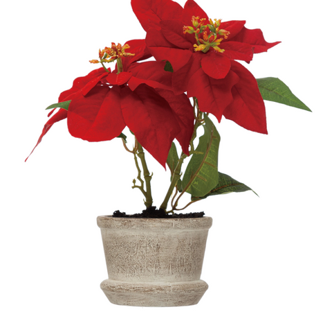 7-3/4" Round x 11-3/4"H Faux Poinsettia in Cement Pot