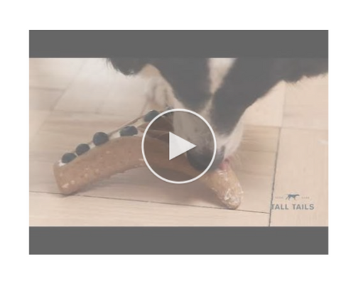 ANTLER CHEW DOG TOY