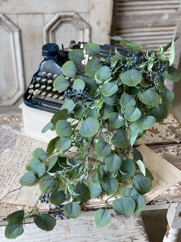 Speedwell Eucalyptus Hanging | 32"