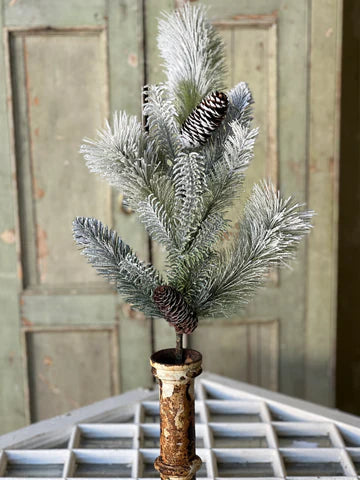 Mystic Snowfringed Pine Spray | 30"