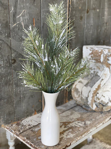 Silver Fir Spray with Snow | 24"