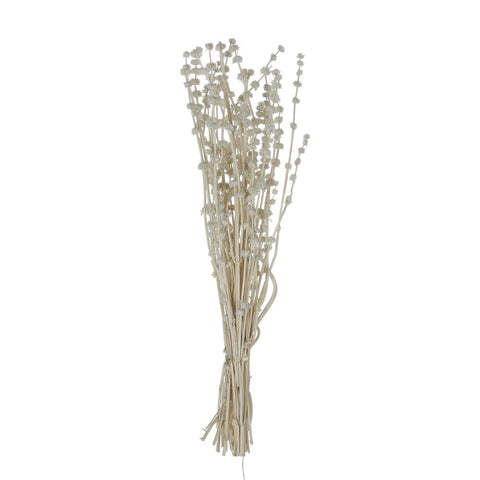Dried Natural Lions Tail Bunch