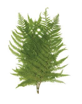 Fern Leaf Bouquet
