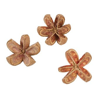 Dried Natural Achiote Flower in Bag