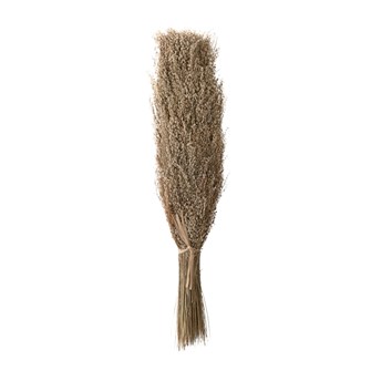 19-3/4"H Dried Natural Star Grass Bunch