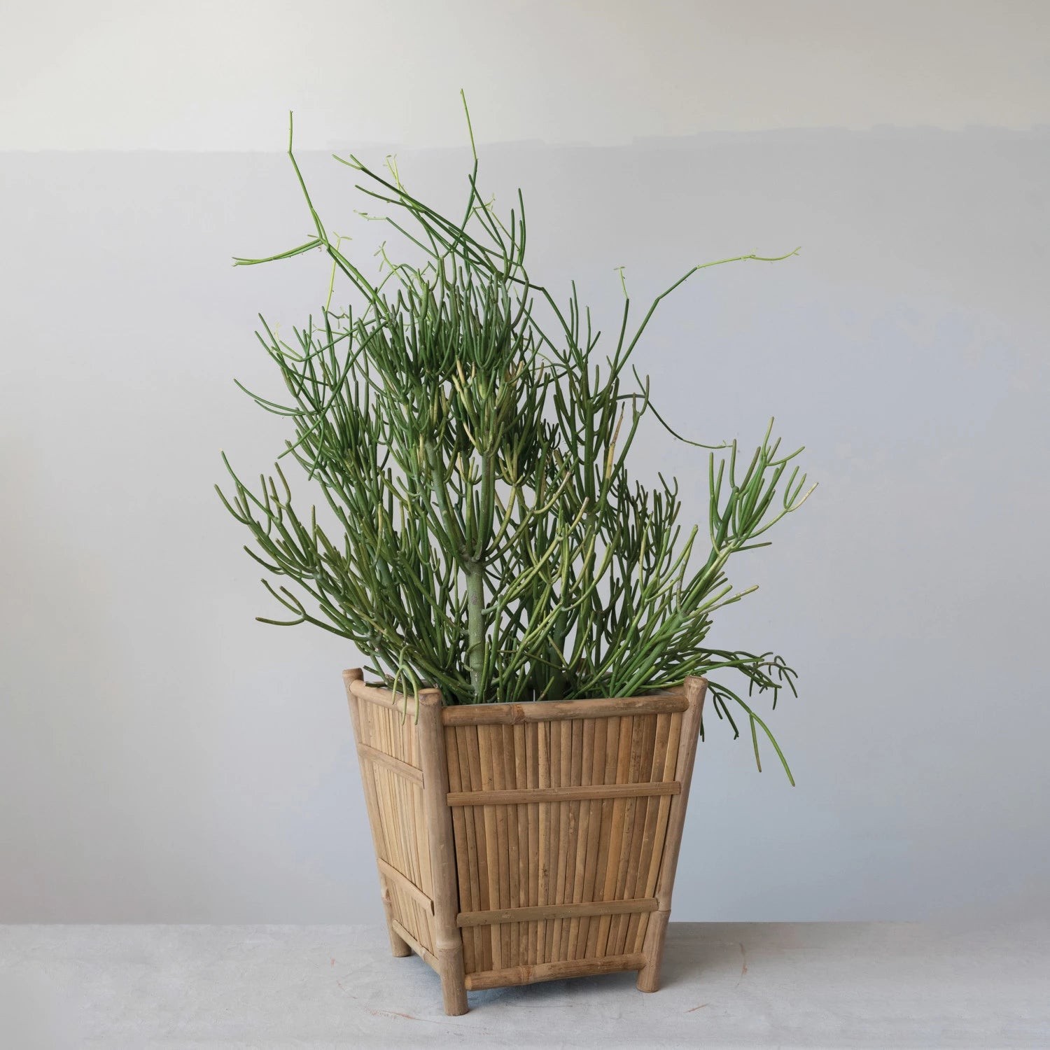 footed planter indoor Handmade Bamboo Footed Planter w/ Plastic Liner – Avenue 550
