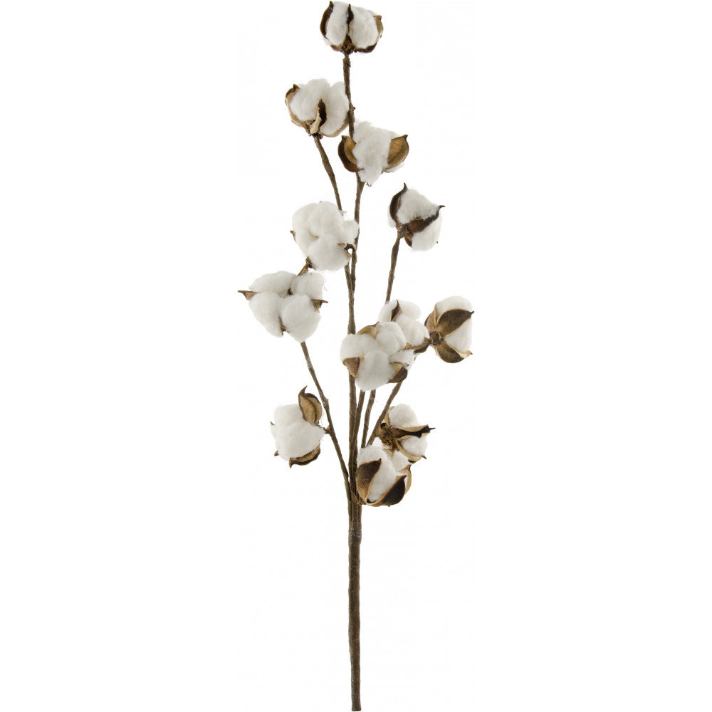 Cotton Spray