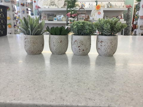 5" H Artificial Succulents in Cement Pot