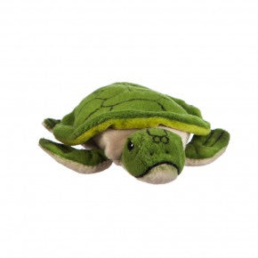 Turtle Bean a Bag Baby