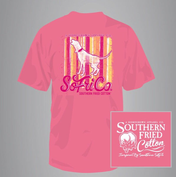 Dog shirt