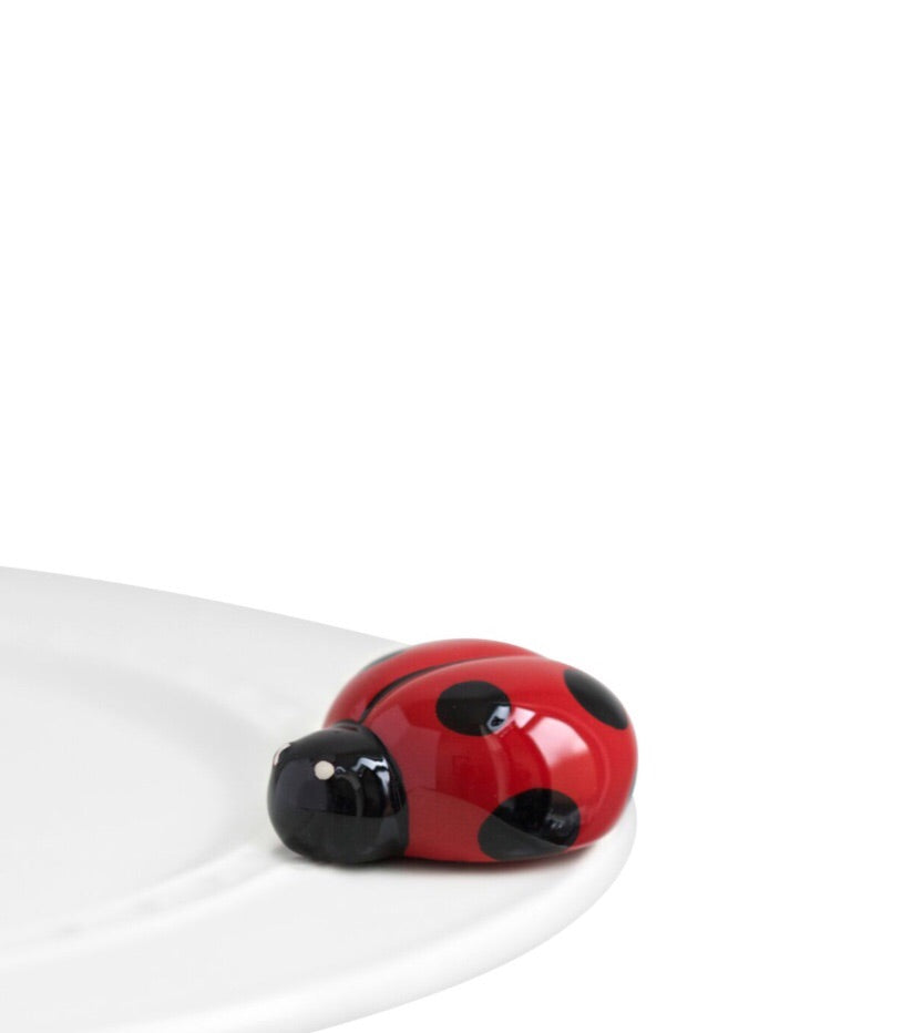 Lady bug