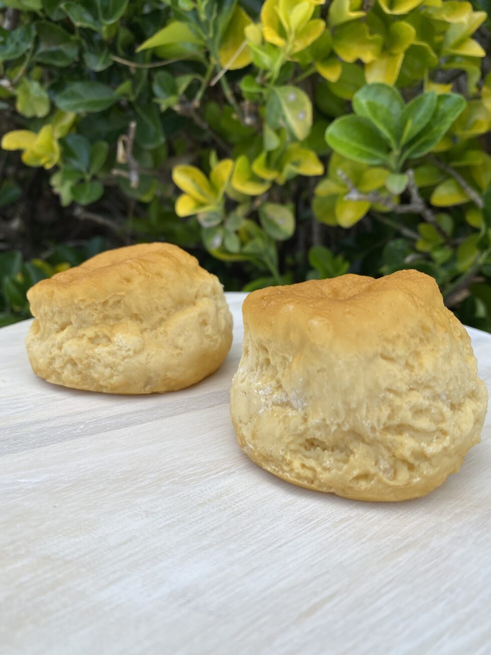 Southern Style Biscuits