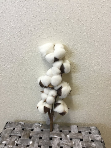 Cotton pick