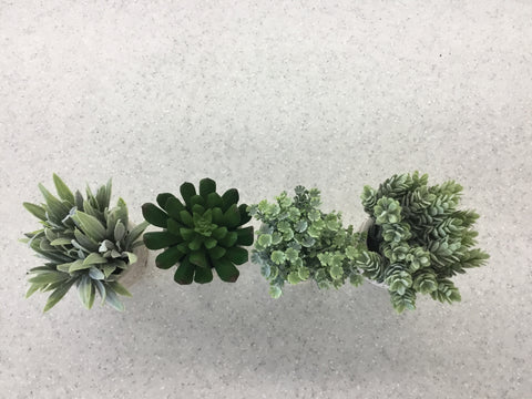 5" H Artificial Succulents in Cement Pot