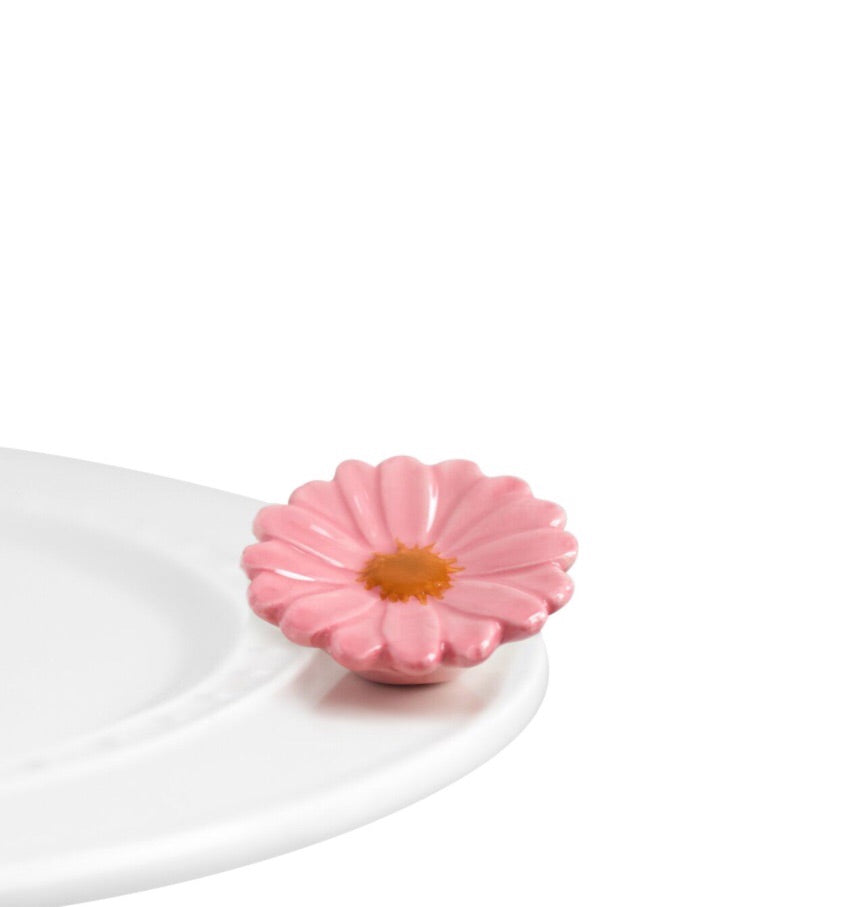 Gerber daisy