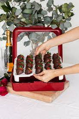 Fancy Panz Egg Tray Insert