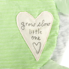 Grow Slow Turtle Blankie