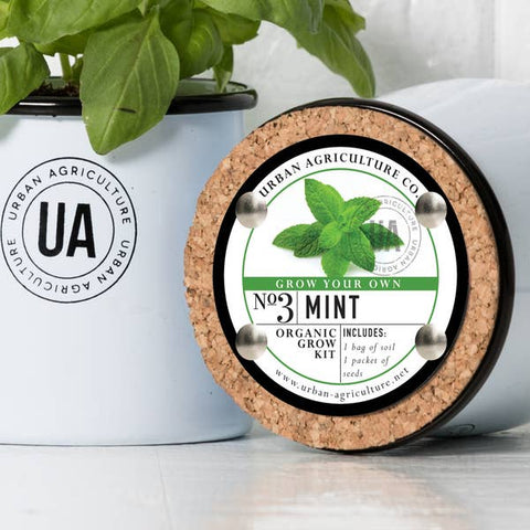 Mint Enamel Herb Grow Kit