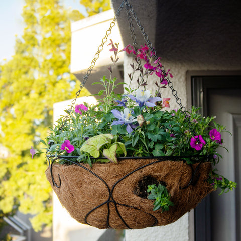 12" D Tulip Patterned Hanging Basket