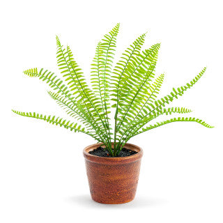 Potted Faux Boston Fern